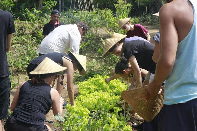 From Ubud: Authentic Bali Farm Cooking School & Organic Farm - FAQ