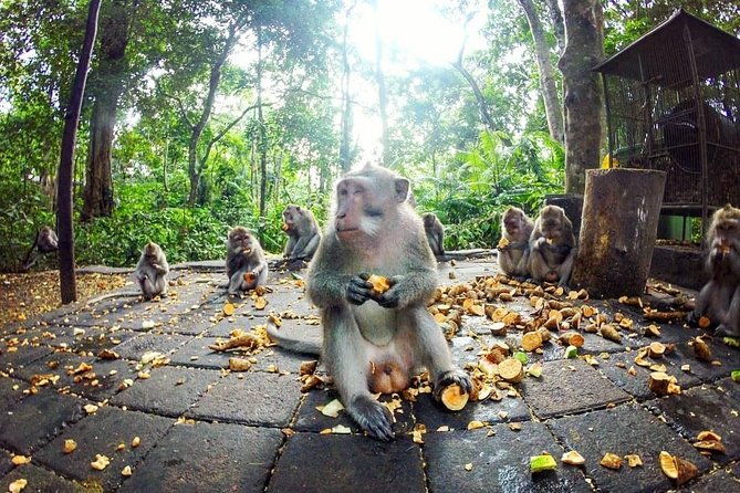 Full-Day in Bali: Private Design-Your-Own Tour - FAQ