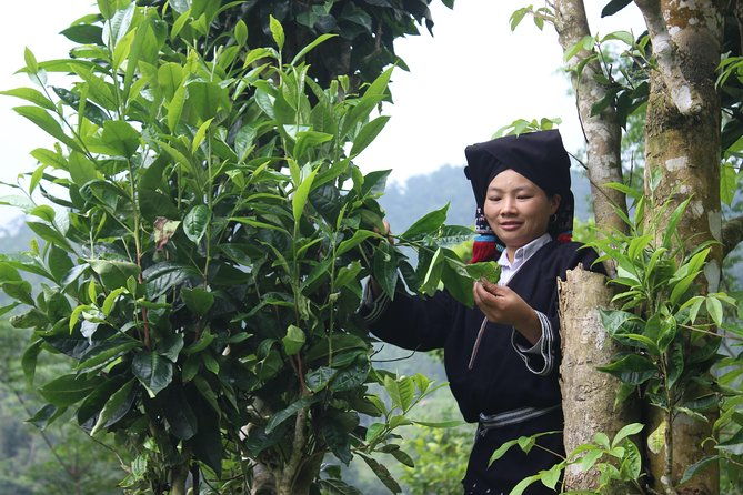 Enjoy the authentic live of Dao Tien people 2D1N - Final Thoughts