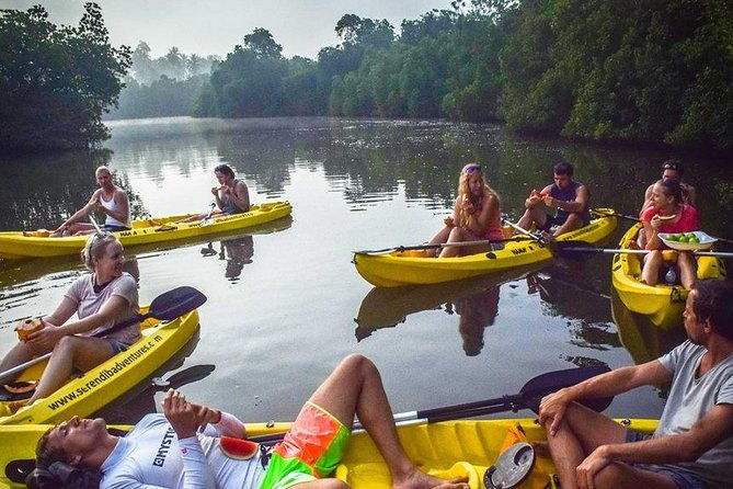 Madu River Sunrise Mangrove Kayaking from Bentota - FAQ