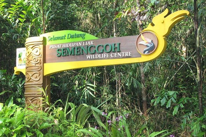 Marvellous Creature Orangutan : Sarawak Semenggoh Wildlife Centre Tour - Final Thoughts
