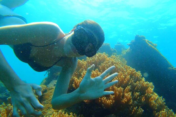 OnBird - PRIVATE ADVENTURE SNORKELING - explore Half-moon reef & Coral Mountain - FAQ