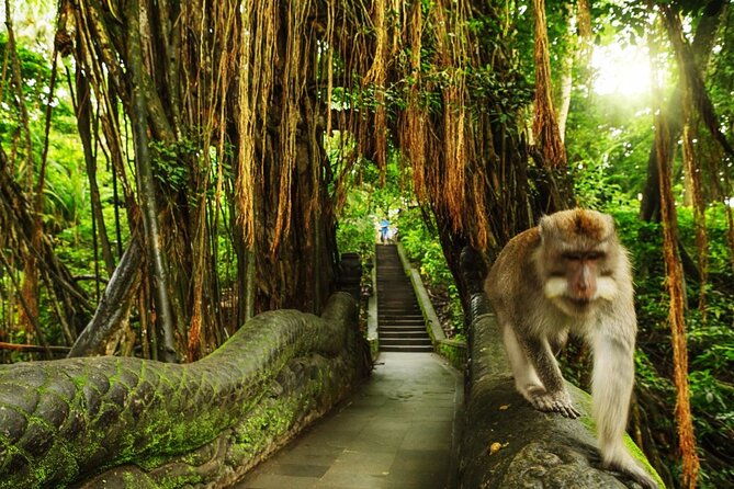 Private Day Tour in Ubud and Tanah Lot Temple - Final Thoughts: Is This Tour for You?