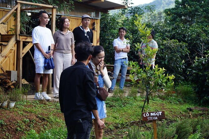 Scented Candle Workshop in Twin Beans Farm Da Lat - Additional Activities and Post-Workshop Options