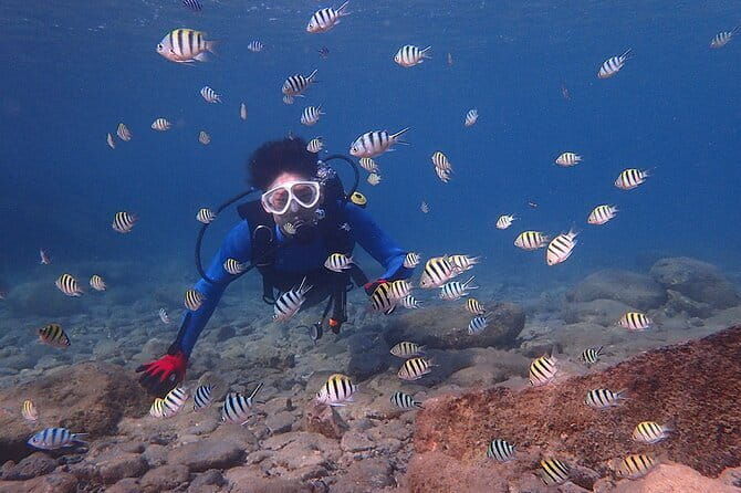 Scuba Diving in Yakushima island (for certified divers only) - FAQ