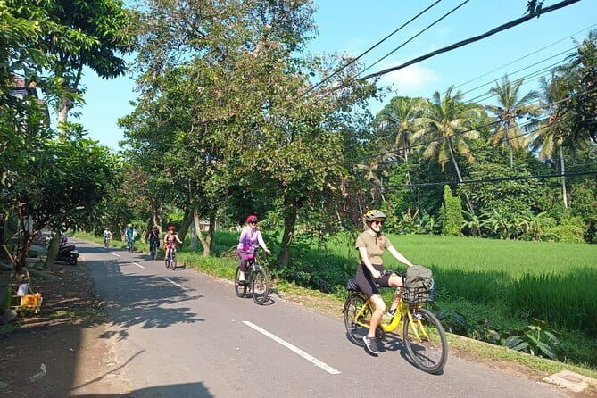 Ubud : Kintamani Downhill Cycling Tour with Lunch - FAQs
