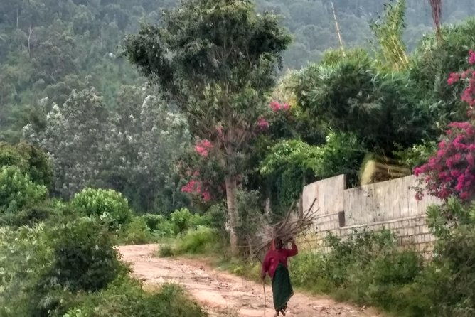 A Day At Nandi - Key Points