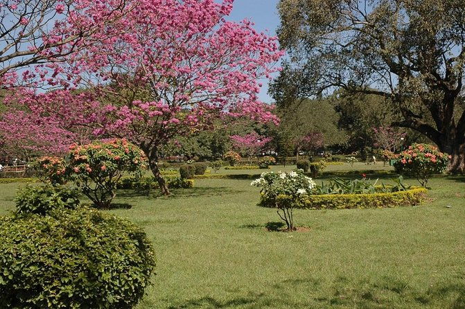 A Trail Through Parks Of Bangalore - Key Points for Your Bangalore Park Adventure
