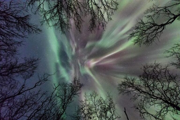 Abisko: Guided Autumn Aurora Chase with Hotel Transfers - The Reviews Speak for Themselves