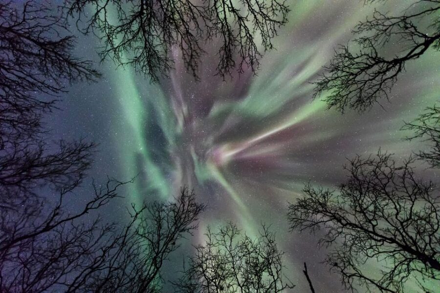 Abisko: Guided Autumn Aurora Chase with Hotel Transfers - The Reviews Speak for Themselves
