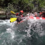 abljak: Half-Day Tara Canyon Rafting Tour - Overview of the Tour Experience
