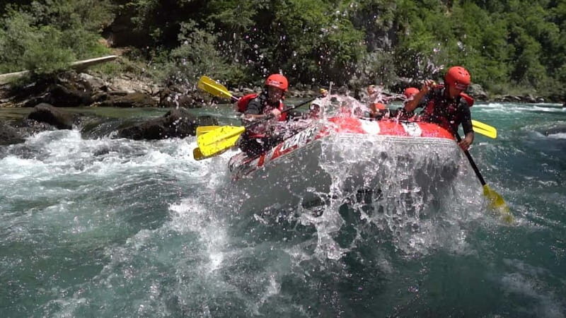 abljak: Half-Day Tara Canyon Rafting Tour - Overview of the Tour Experience