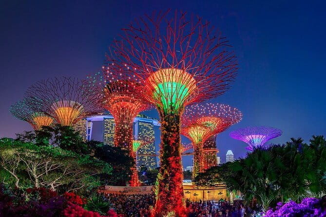 Admission E-Ticket to Gardens by the Bay Singapore - Discovering Gardens by the Bay in Singapore: An Honest Review