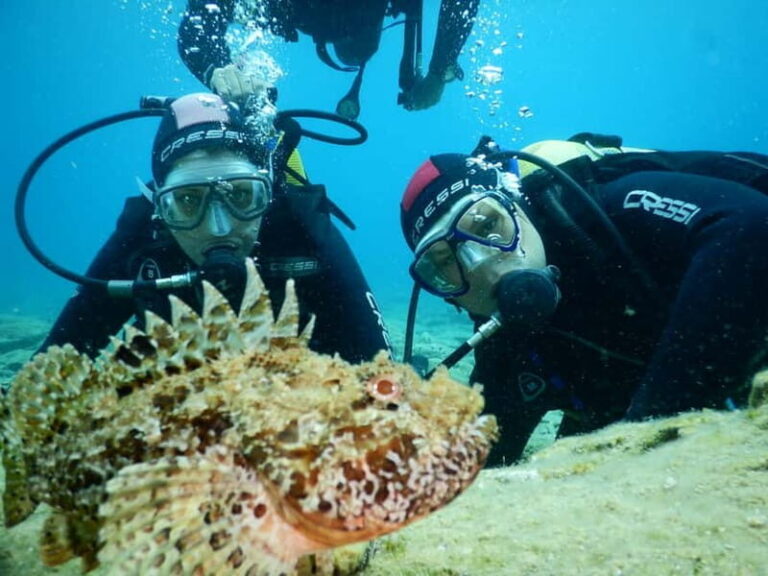 Agia Pelagia: Introduction to Scuba Diving Experience - Detailed Breakdown of the Itinerary
