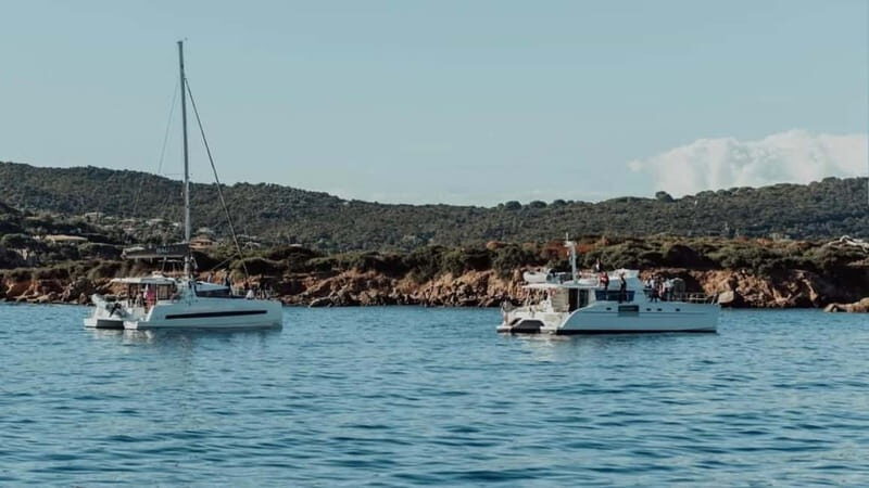 Ajaccio: Full-Day Private Catamaran Tour with Chez Francis - The Practicalities and Value