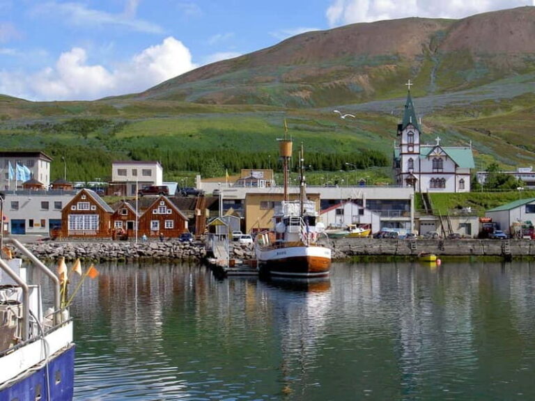 Akureyri: Diamond Circle & Lunch (Dettifoss-Myvatn-Godafoss) - Who Would Love This Tour?