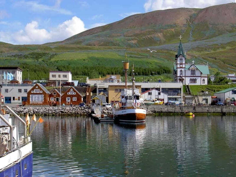 Akureyri: Diamond Circle & Lunch (Dettifoss-Myvatn-Godafoss) - Who Would Love This Tour?