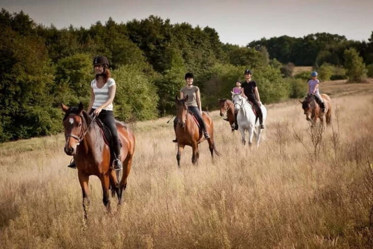 Alanya: Horse Riding Tour with Hotel Transfers - The Horses and Their Care: Why It Matters