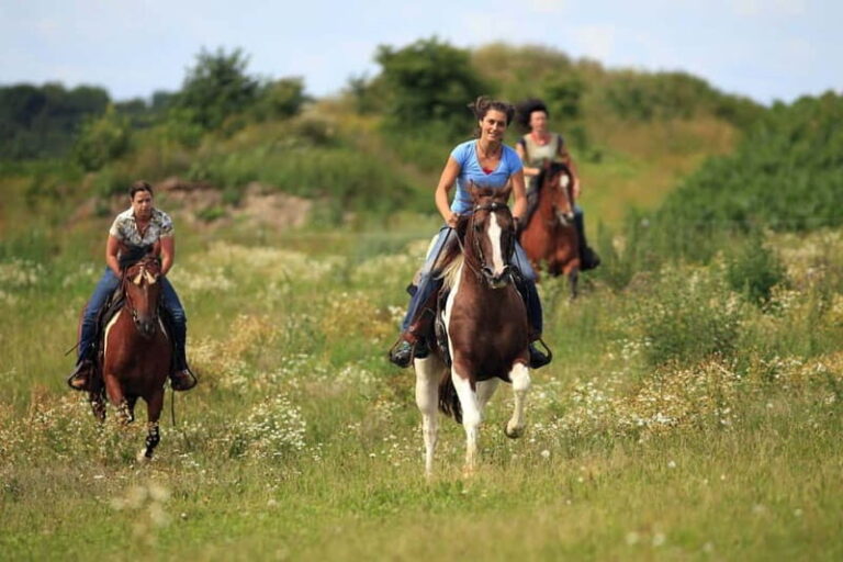 Alanya: Horseback Ride Through Nature near Syedra Ruins - The Experiences Value and Practicalities