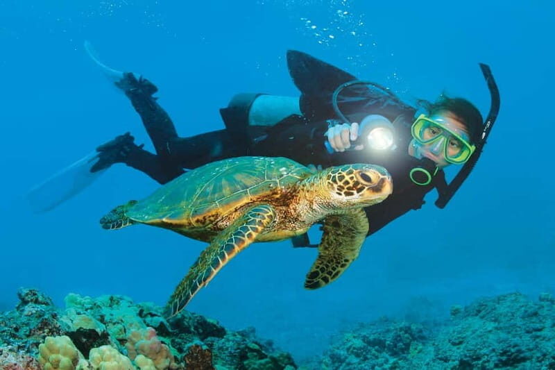 Alanya: Scuba Diving Adventure for Beginners & Professionals - The Value of This Scuba Experience