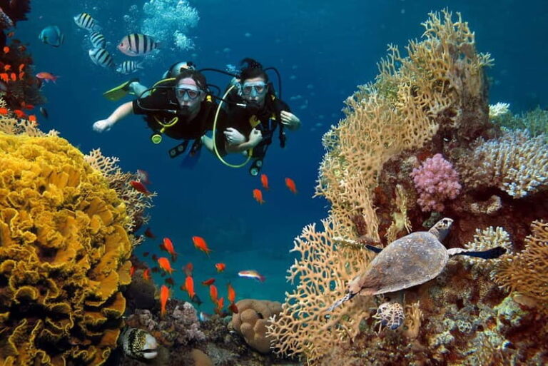Alanya: Scuba Diving Tour with Lunch and Hotel Transfers - The Itinerary: What to Expect