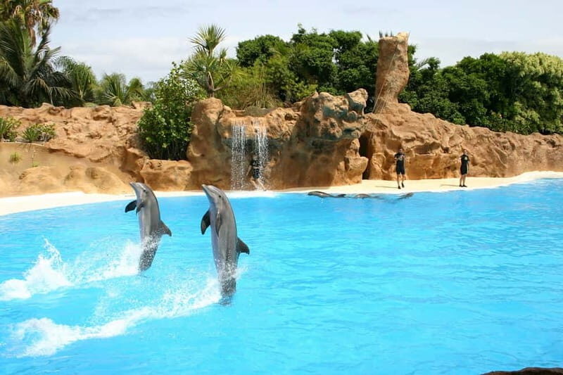 Alanya: Sealanya Dolphinpark Dolphin Show Tour - The Show: A Closer Look