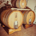 Alba: Wine Tasting and Tour with a Local Producer - The Experience’s Highlights in Detail