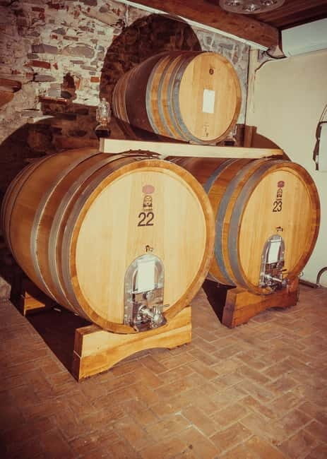 Alba: Wine Tasting and Tour with a Local Producer - The Experience’s Highlights in Detail