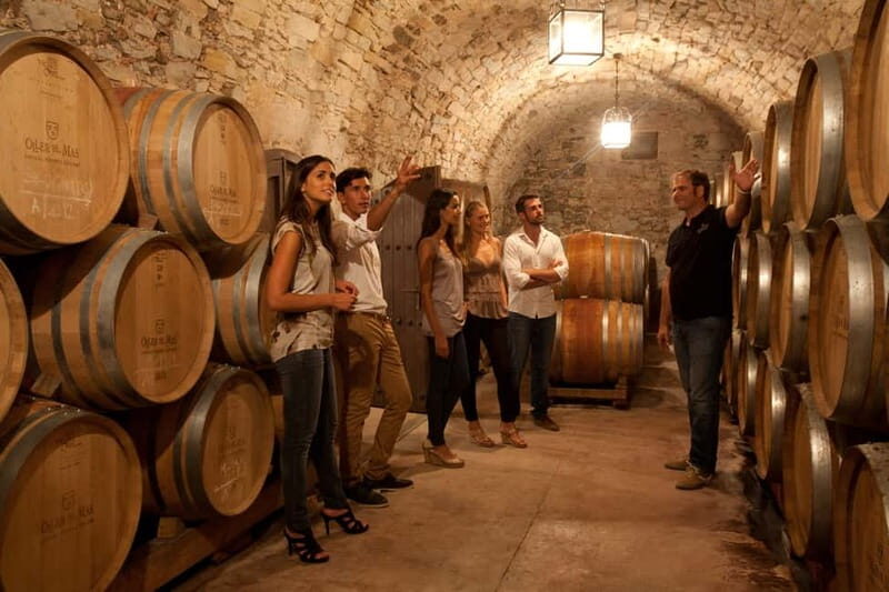 Albariño Wine Tour: Taste, Learn & Take Home a Special Gift - What to Expect & Why It Matters
