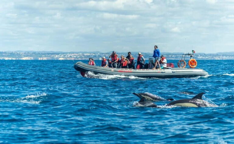 Albufeira: 2.5-Hour Private Dolphin & Benagil Caves tour - About the Experience