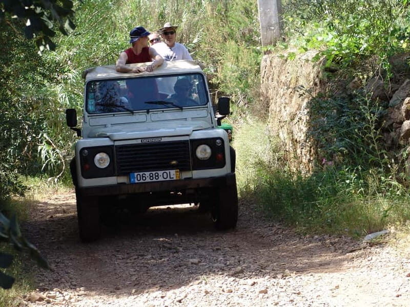 Albufeira: 6 Hour Jeep Tour with Lunch - Cork Oak Tree Visit and Cork Harvesting Insights