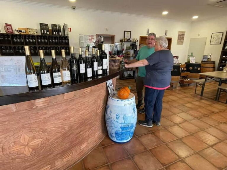 Albufeira, Olhão, Faro: visit to a vineyard, free time in Silves - Who Is This Tour Best For?