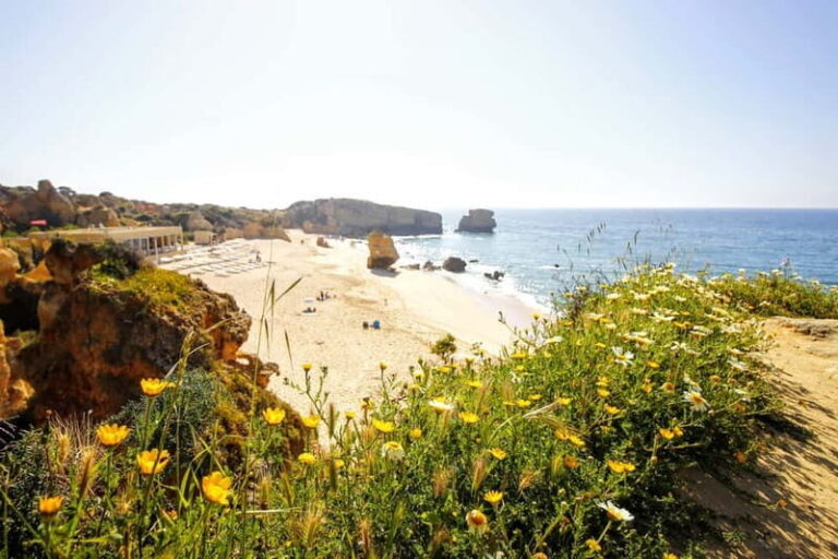 Albufeira: Tuk Tuk Ride with Old Town and Beaches - Why This Tour Offers Great Value