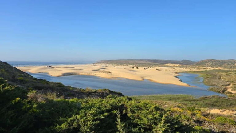 Albufeira: Vicentina Coast Tour with Lunch and Sunset Picnic - Detailed Breakdown of the Itinerary