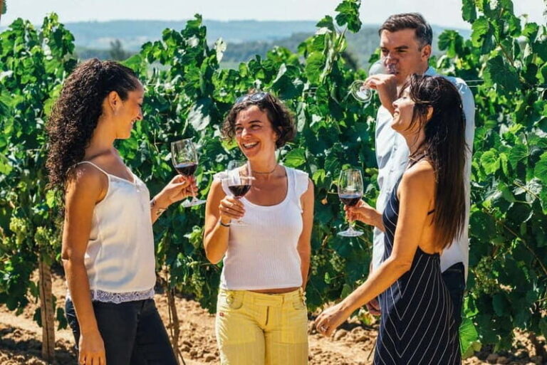 Albufeira: Wine Tasting Tour with Castle and Windmill Visit - Final Thoughts
