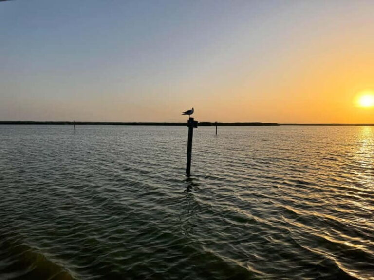 Albufera Bike Adventure: Wetlands, Beaches & Biodiversity - The Sum Up