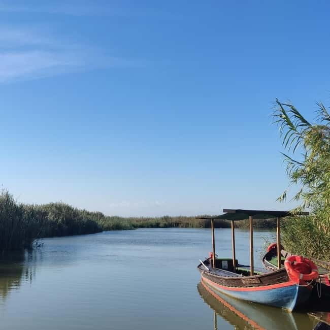 Albufera of Valencia: boat ride and visit to the barraca - Why This Tour Is a Great Choice
