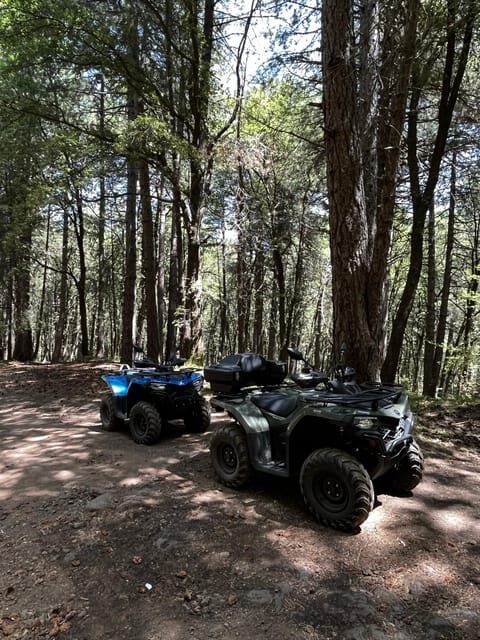 Alcantara: Valley and Gurne dell'Alcantara ATV Adventure - What’s Included and What to Consider