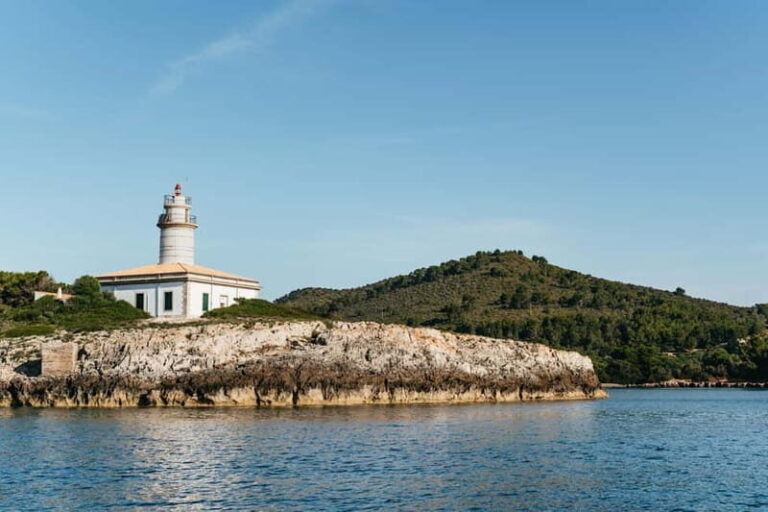 Alcudia or Can Picafort: Dolphin-Watching Cruise - Who Will Love This Tour?