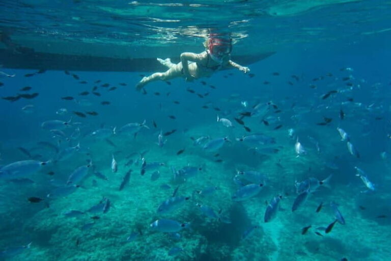 Alcudia: Sea Caves Coves and Snorkeling in small groups - Exploring Cap Ferrutx and the Sea Caves
