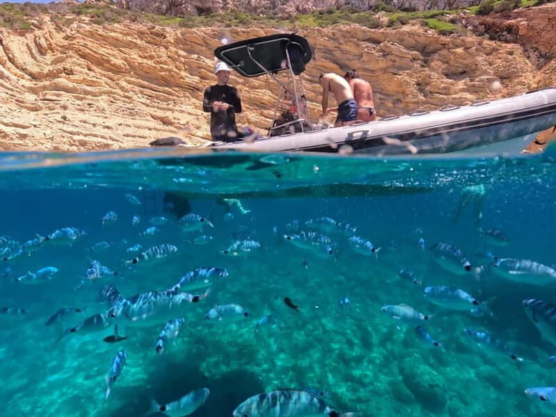 Alghero: Boat Tour and Snorkeling with Aperitif Porto Conte - Why This Tour Excels