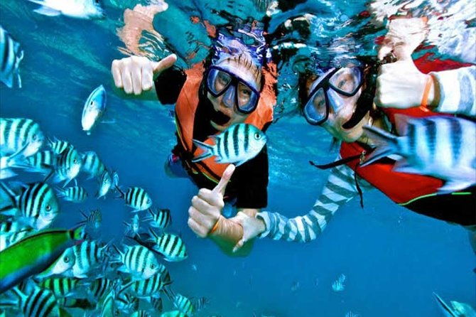 (ALL- IN) Bali Snorkeling Blue Lagoon And Tanjung Jepun - Key Points  