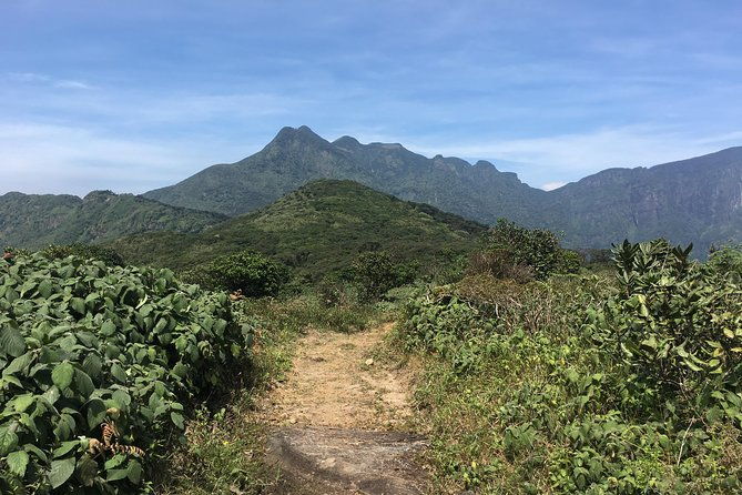 All Inclusive Knuckles Day Track With Accommodation - Overview of the Knuckles Mountain Range Trek