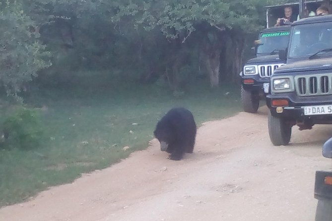 All inclusive Private jeep safari at Yala National park - Key Points