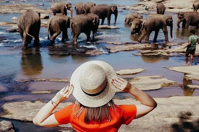 All-Inclusive Private tour in Sri Lankan Island 9 Day HB hotels - Exploring Sri Lanka in 9 Days: A Deep Dive into the All-Inclusive Private Tour
