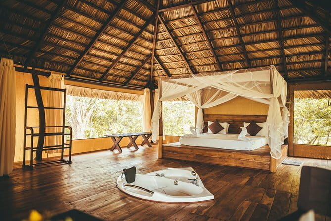All Inclusive Tented Camping & Luxury Safari Tours in Yala Park - Key Points