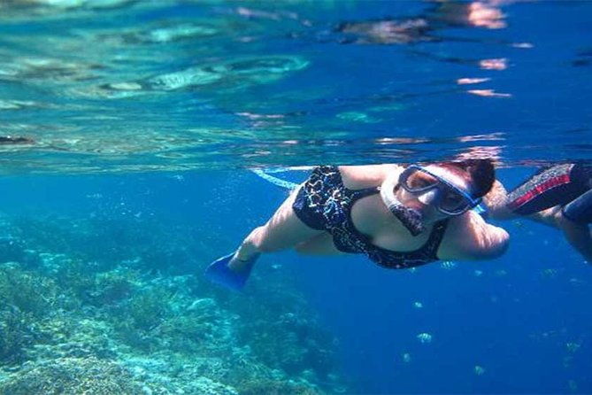 All Ticket Inclusive-Blue Lagoon Snorkeling-Ubud Monkey Forest & Ubud Waterfall - A Closer Look at the Itinerary
