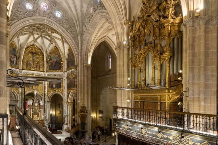 Almería: Cathedral Entry Ticket - Practical Details and What to Expect
