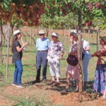 Almería: Wine tour and aperitif from La Alpujarra in Winery - Practical Details: What You Need to Know