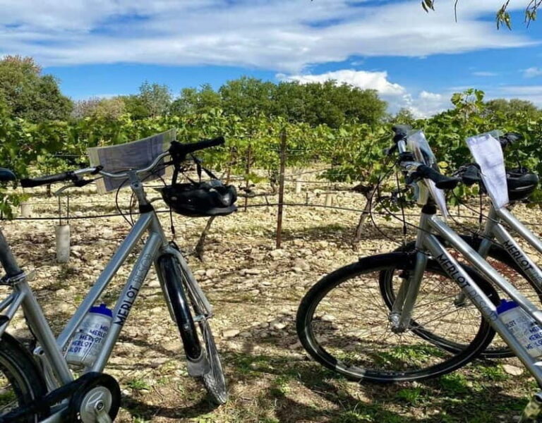 Alpilles: Discover wine estates and farms by electric bike - Who Will Love This Experience?